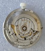 20241118_095513 - ONLINE Wristwatches